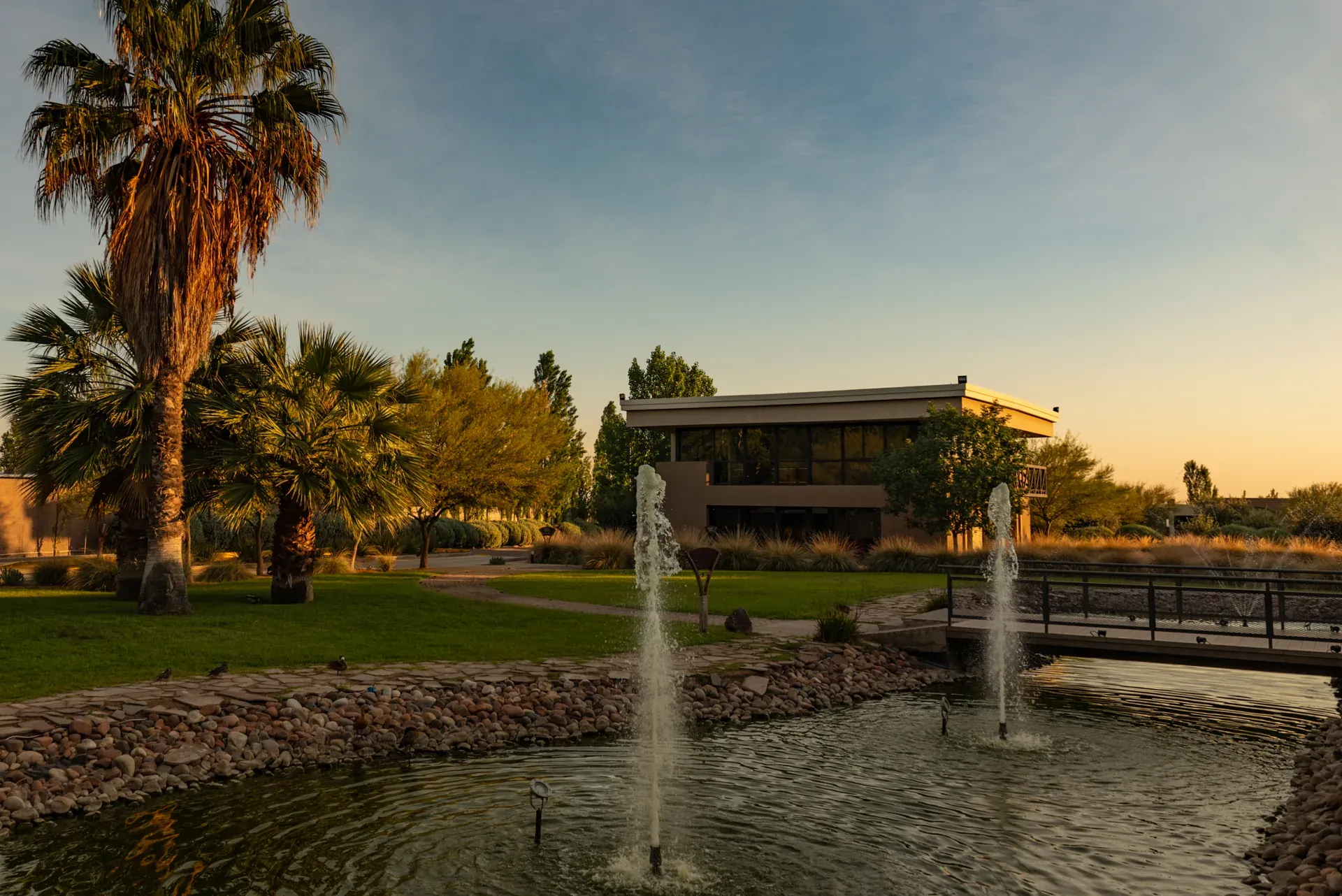 Edificio de Bodega SinFin al atardecer, con el lago, las fuentes y las palmeras del parque